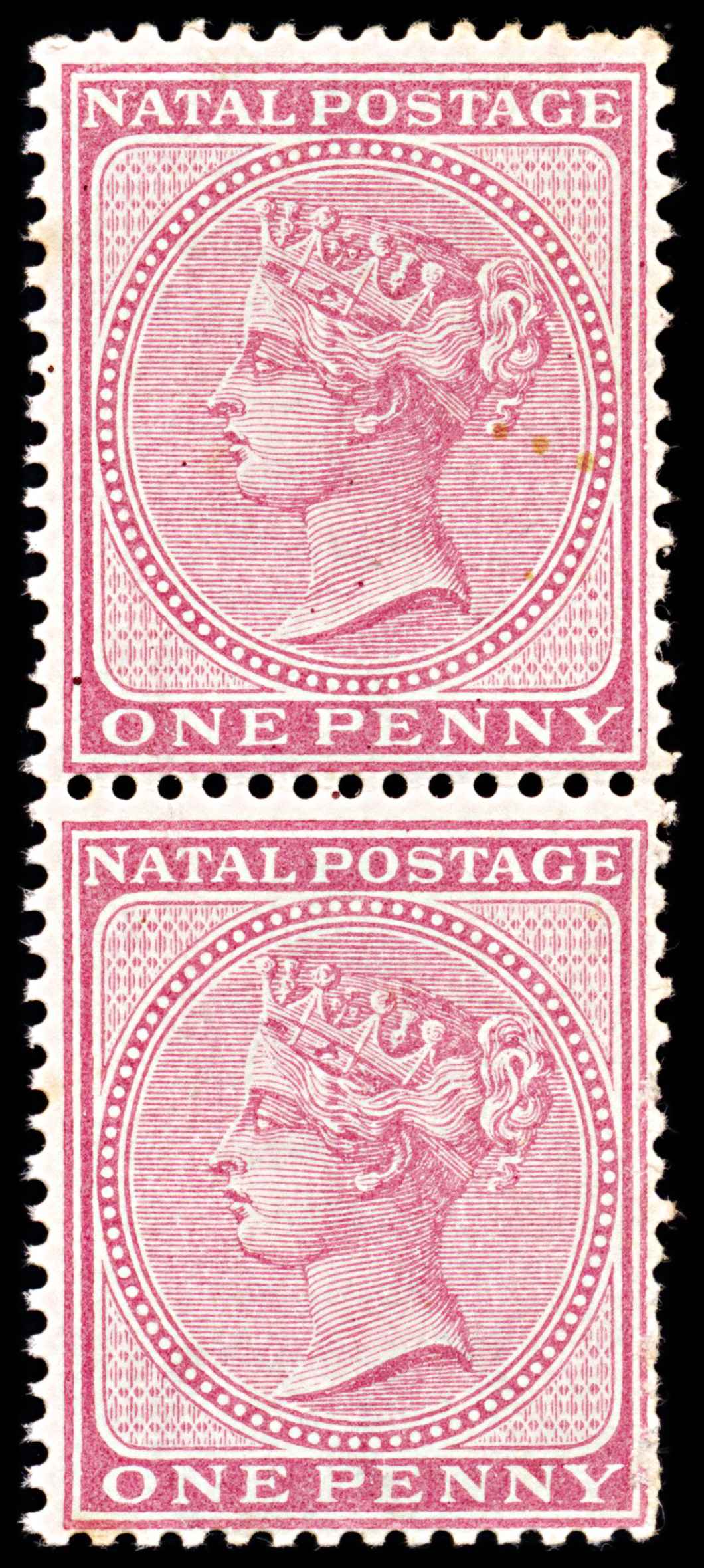 5731 Natal SG66 1d Rose. Vert. Pair 1874. Sc#51 Mi28 MNH Mint. C£140