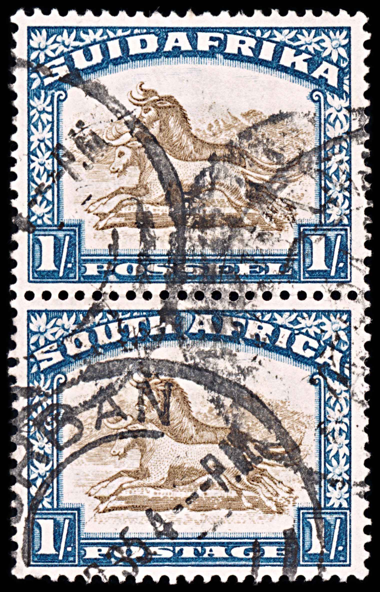 5910 South Africa SG48 1s Brown & Blue. Pair 1932. Sc#43c Mi61-62 Used. C£60