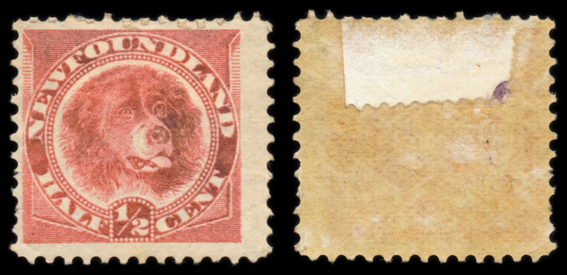 6187 Newfoundland SG49 ½c Rose-Red 1887. Sc#56 Mi35a Mint MH. C£16