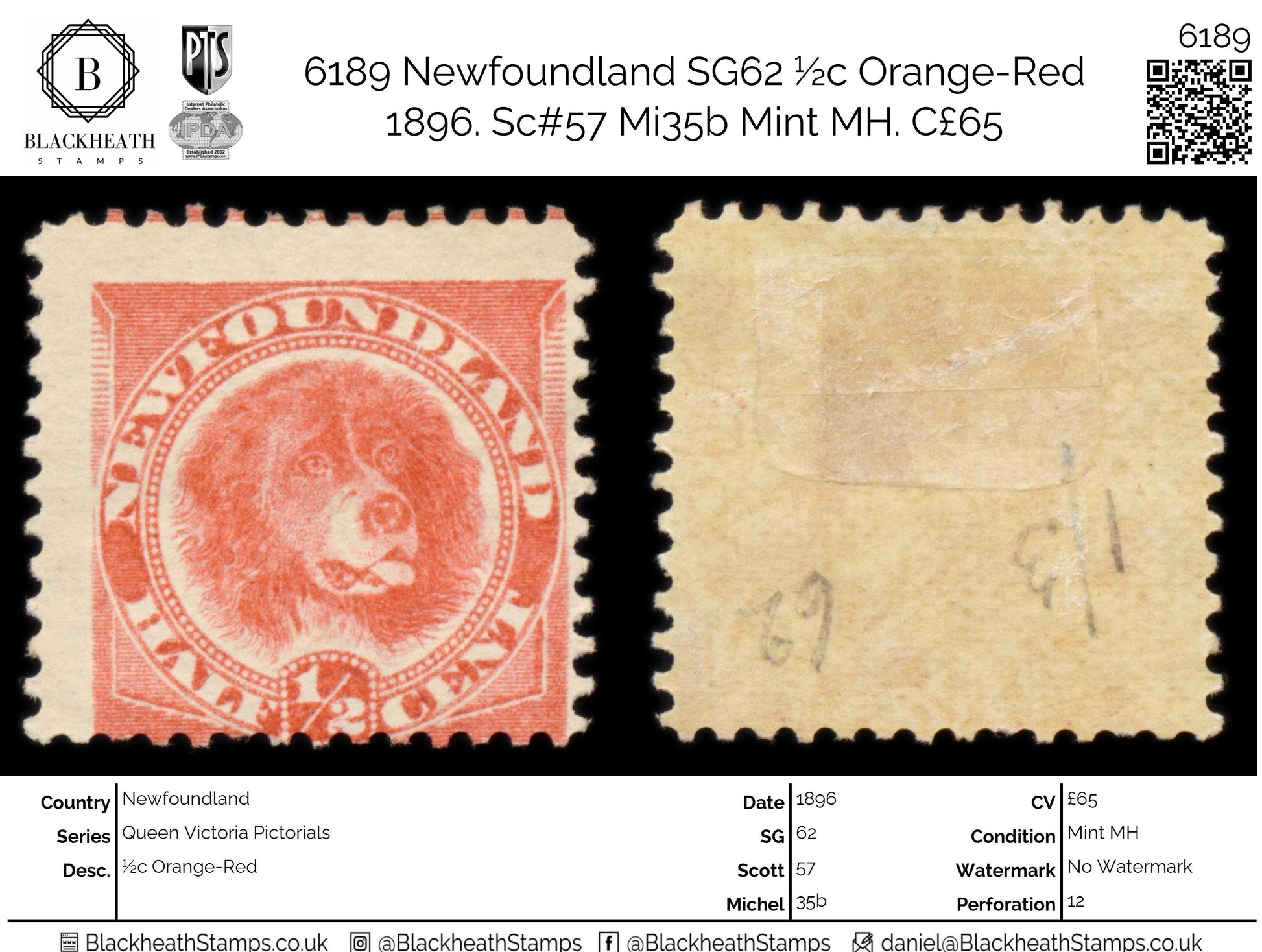 6189 Newfoundland SG62 ½c Orange-Red 1896. Sc#57 Mi35b Mint MH. C£65