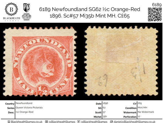 6189 Newfoundland SG62 ½c Orange-Red 1896. Sc#57 Mi35b Mint MH. C£65