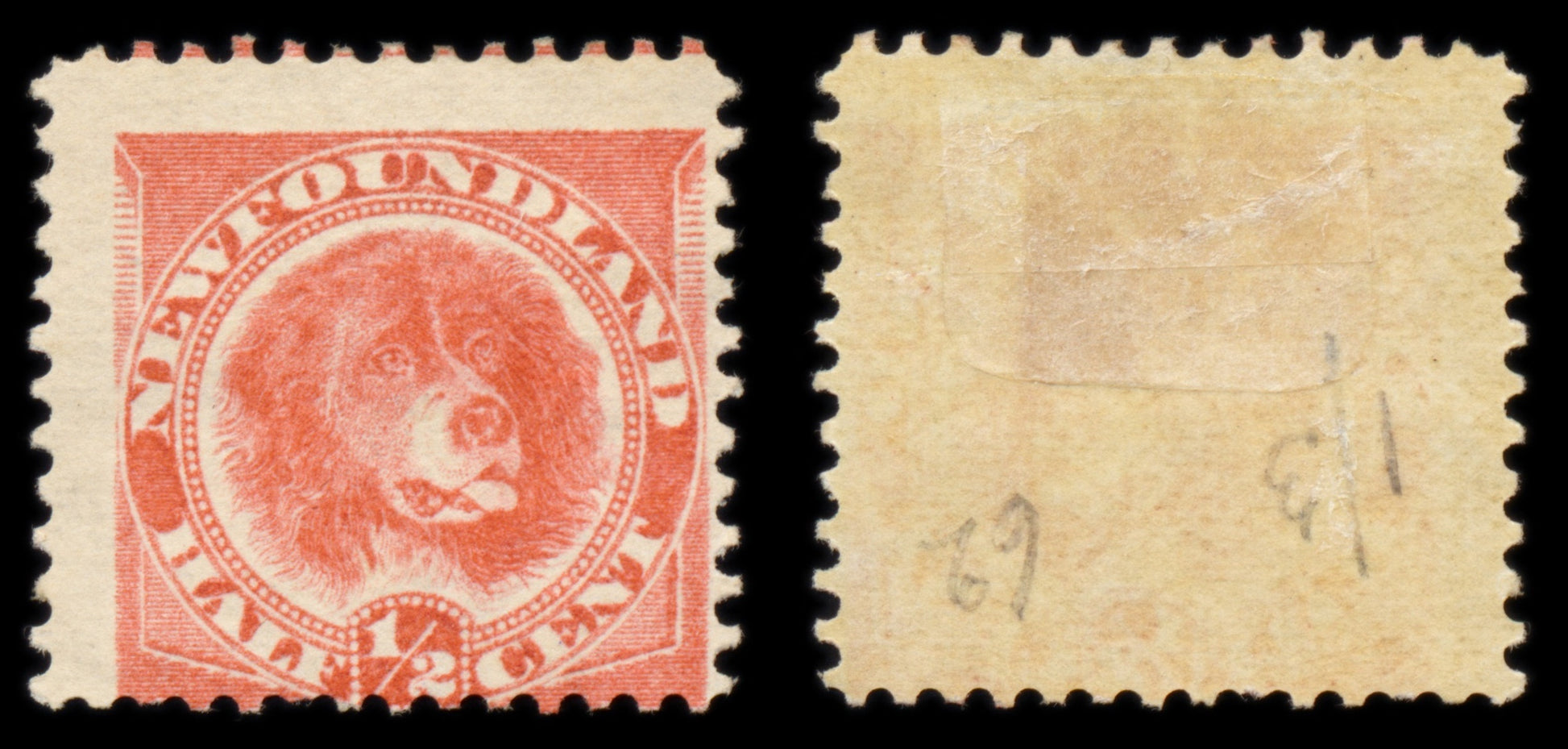 6189 Newfoundland SG62 ½c Orange-Red 1896. Sc#57 Mi35b Mint MH. C£65