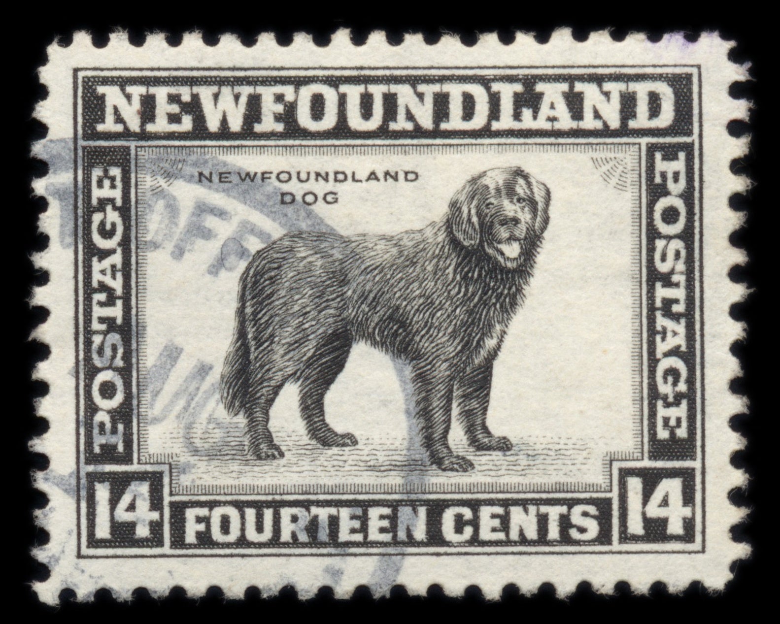 6204 Newfoundland SG284 14c Black 1944. Sc#261 Mi179C Used. C£14