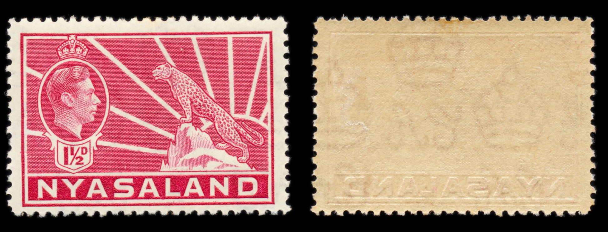 6232 Nyasaland SG132 1½d Carmine 1938. Sc#56 Mi56 Mint MVLH. C£11