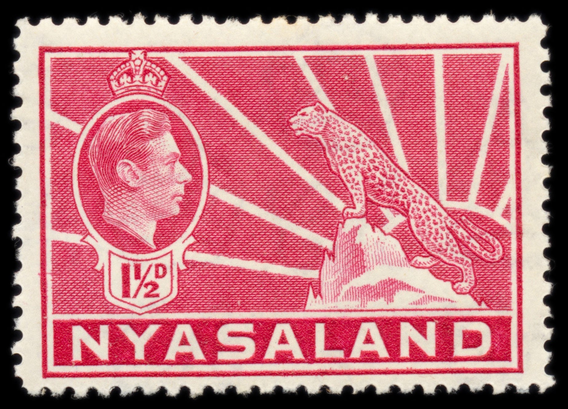 6232 Nyasaland SG132 1½d Carmine 1938. Sc#56 Mi56 Mint MVLH. C£11