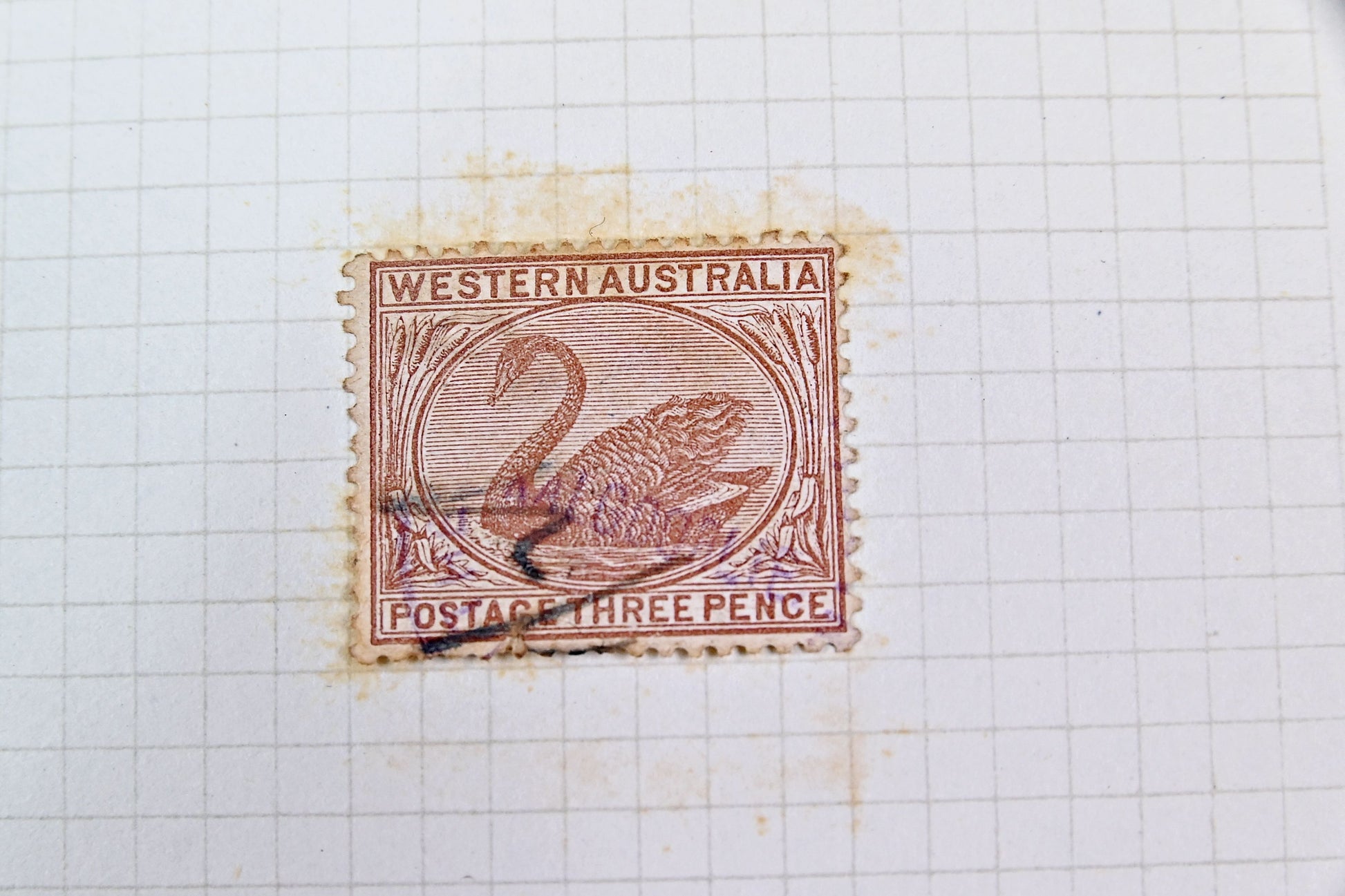 6681 Western Australia Collection on Album Page. Early to Later. 19 Images