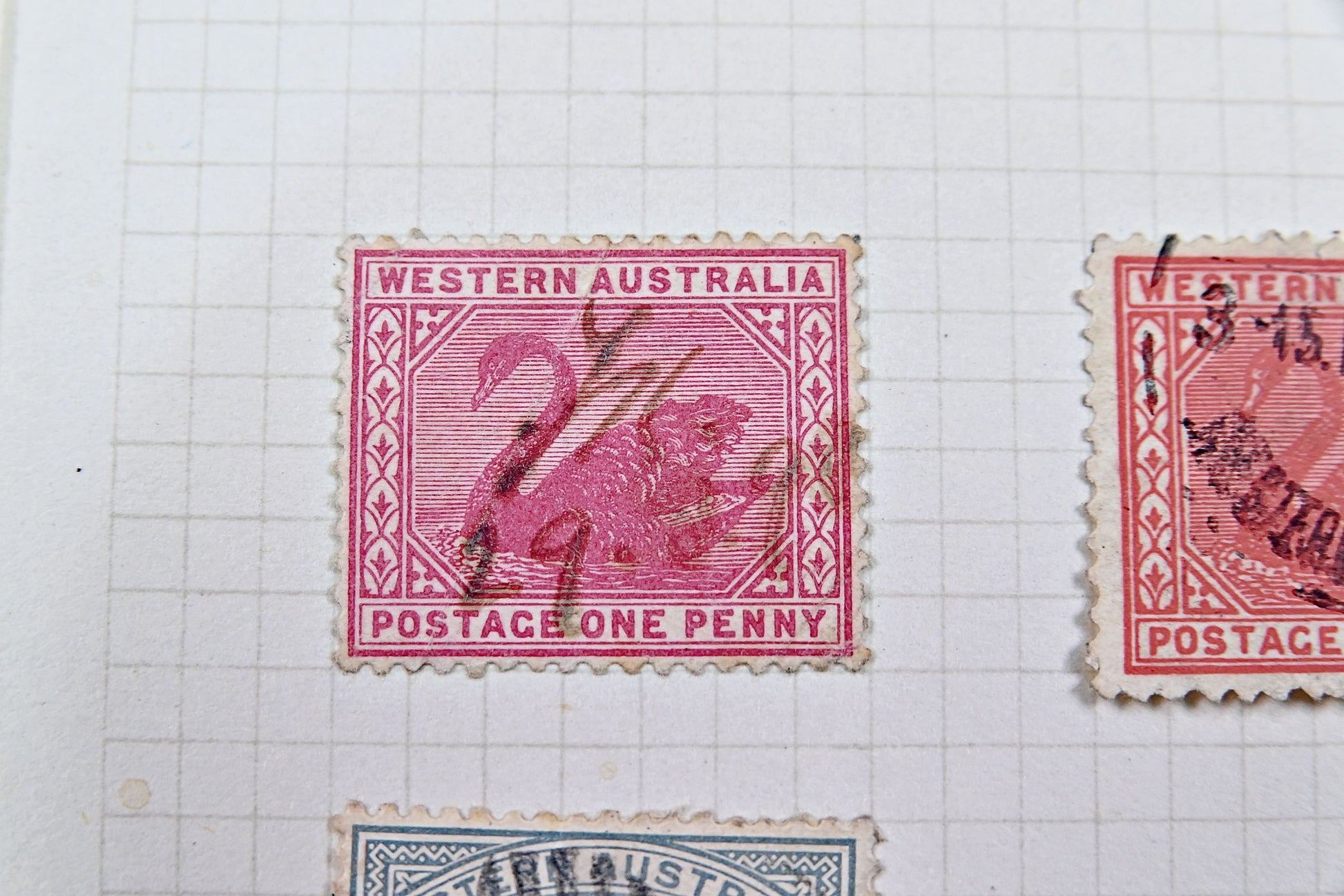 6681 Western Australia Collection on Album Page. Early to Later. 19 Images