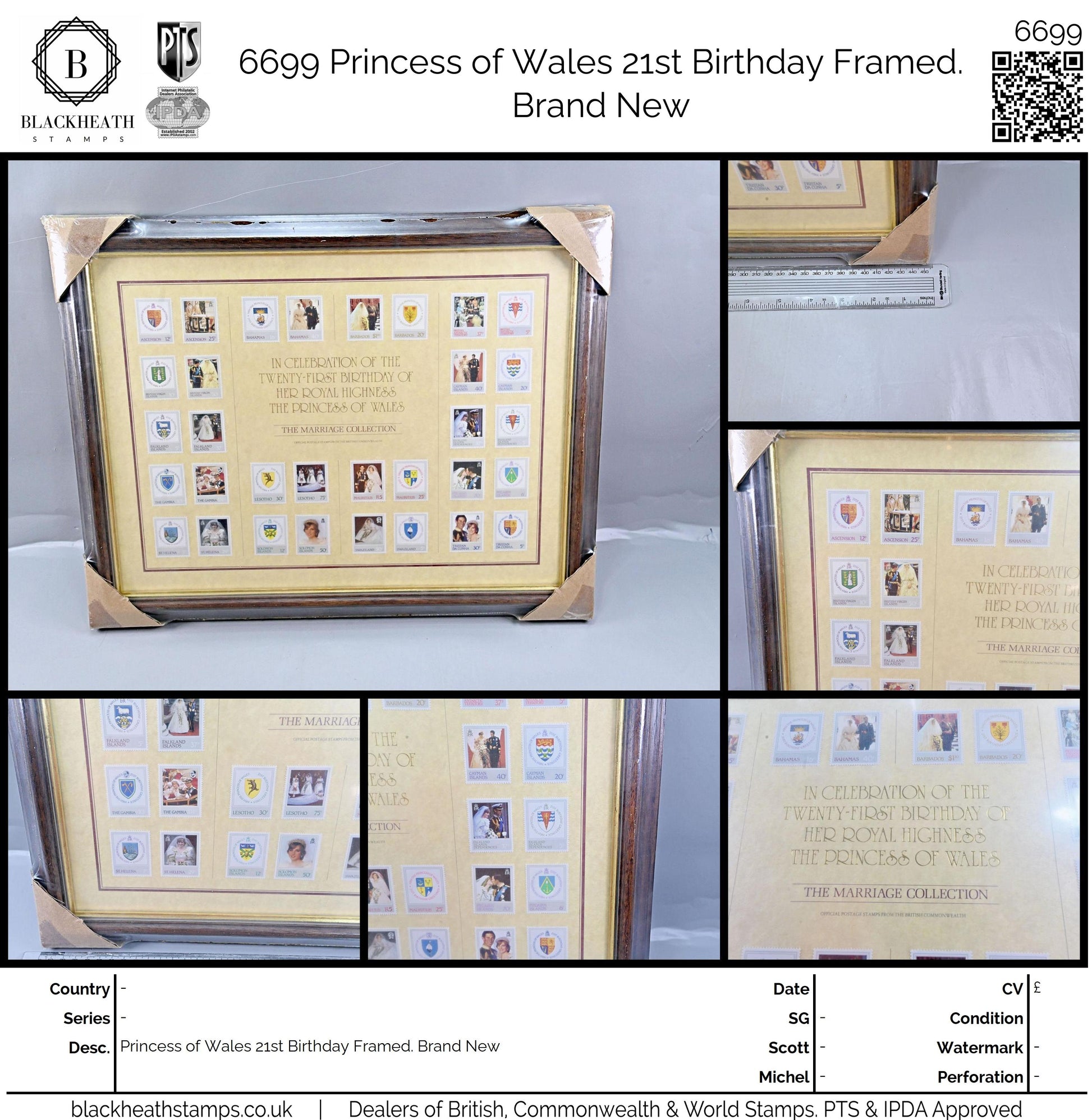 6699 Princess of Wales 21st Birthday Framed. Brand New