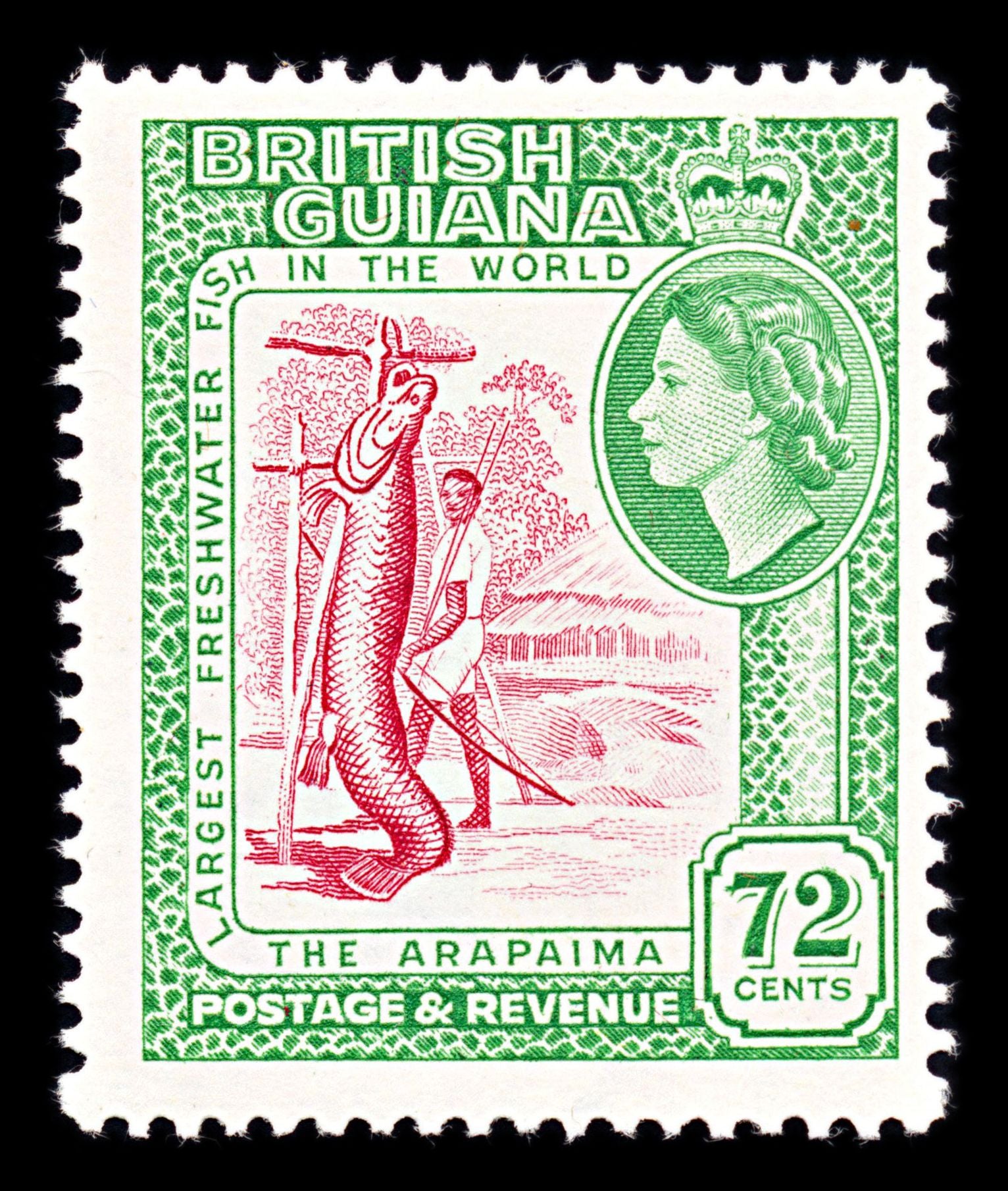 6735 British Guiana SG342 72C Emerald & Pink 1954. Sc#264 Mi 210 Mint MH. C£24