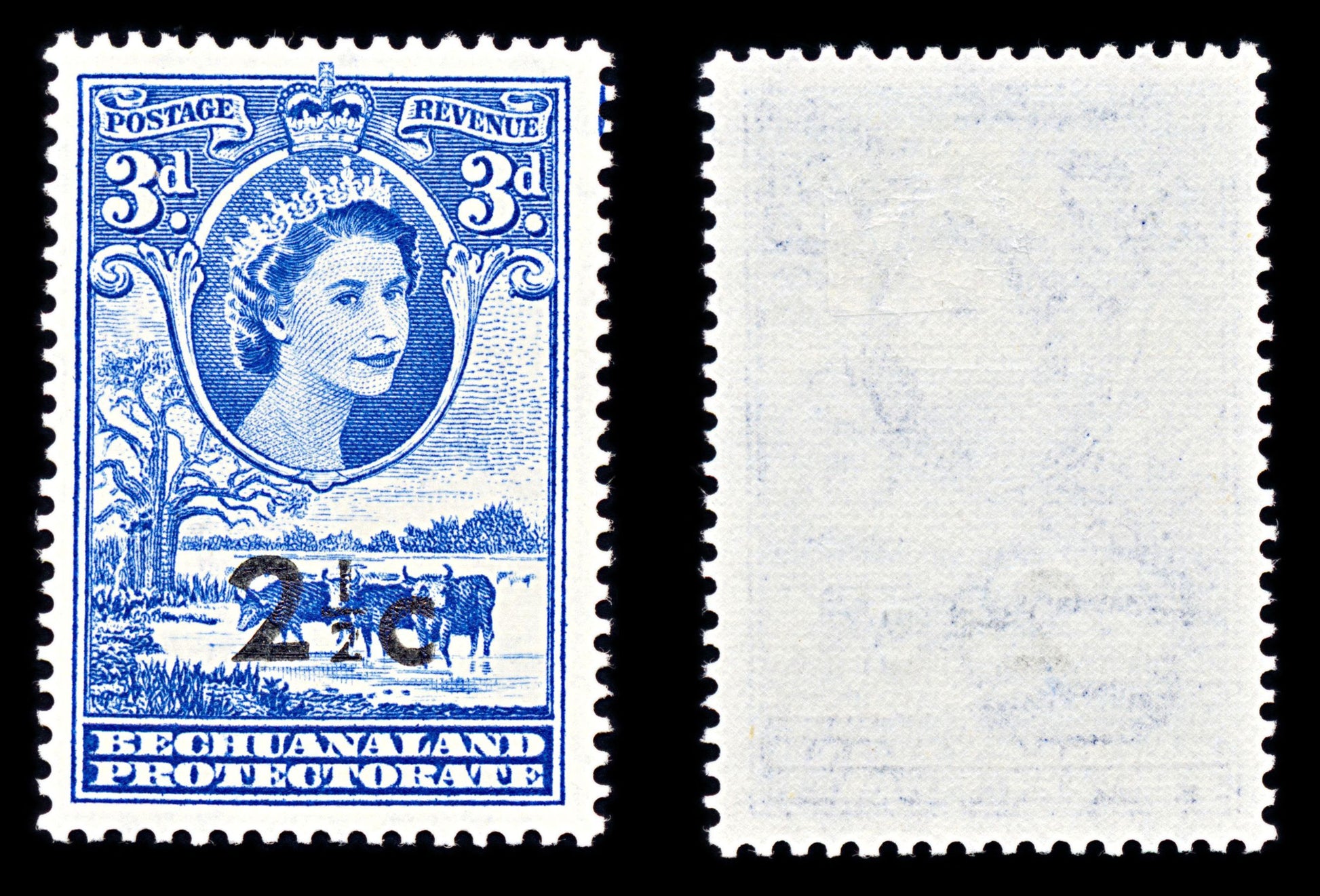 6739 Bechuanaland SG160 2½C Ultramarine 1961. Sc#172 Mi 147 Mint MVLH. C£12