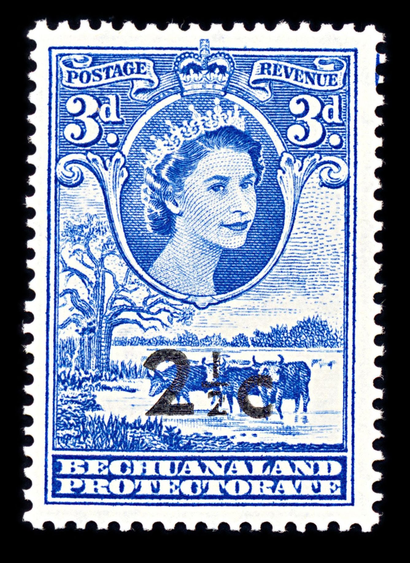 6739 Bechuanaland SG160 2½C Ultramarine 1961. Sc#172 Mi 147 Mint MVLH. C£12