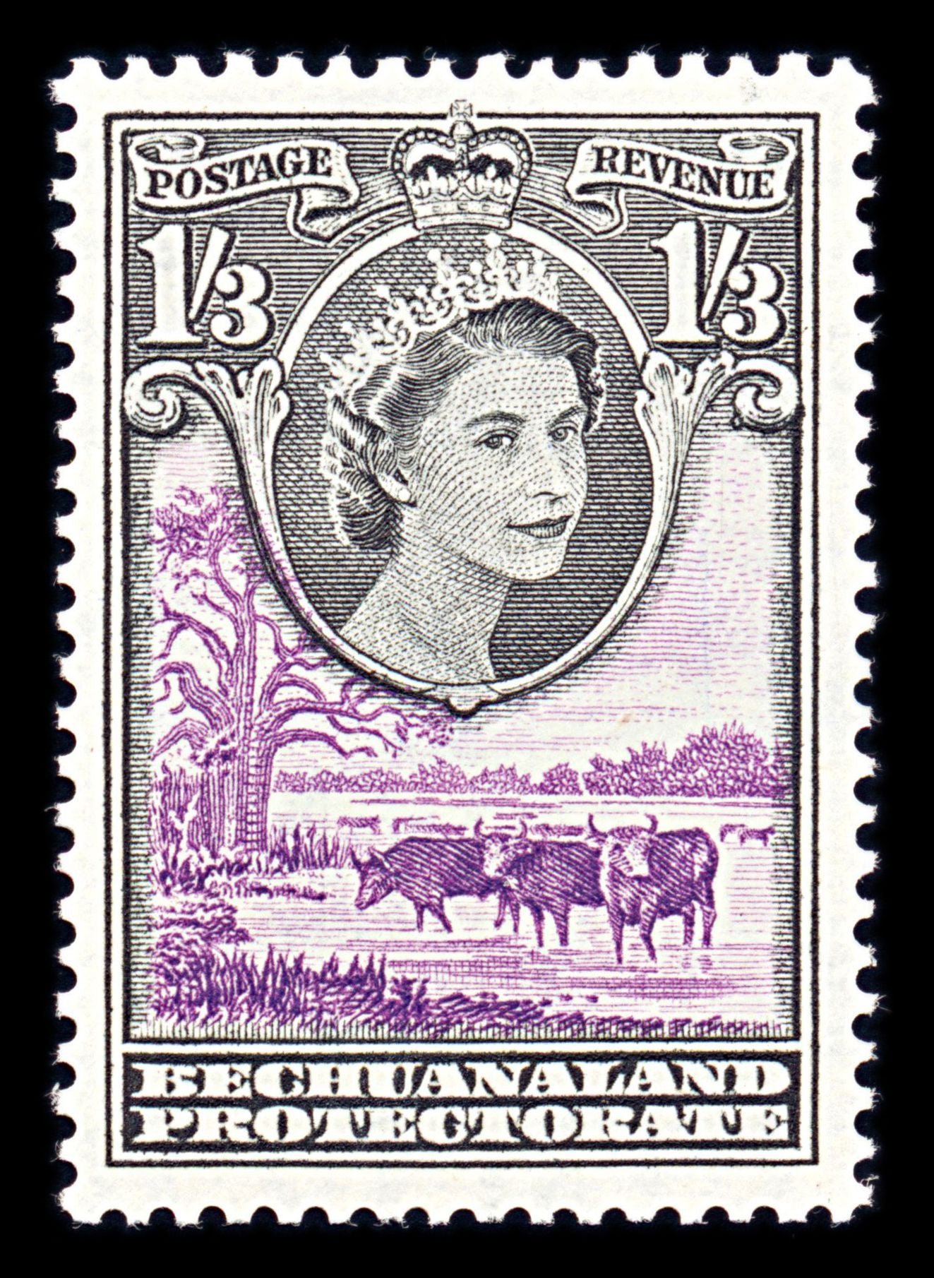 6741 Bechuanaland SG150 1s3d Black & Lilac 1955. Sc#162 Mi 137 Mint MVLH. C£18