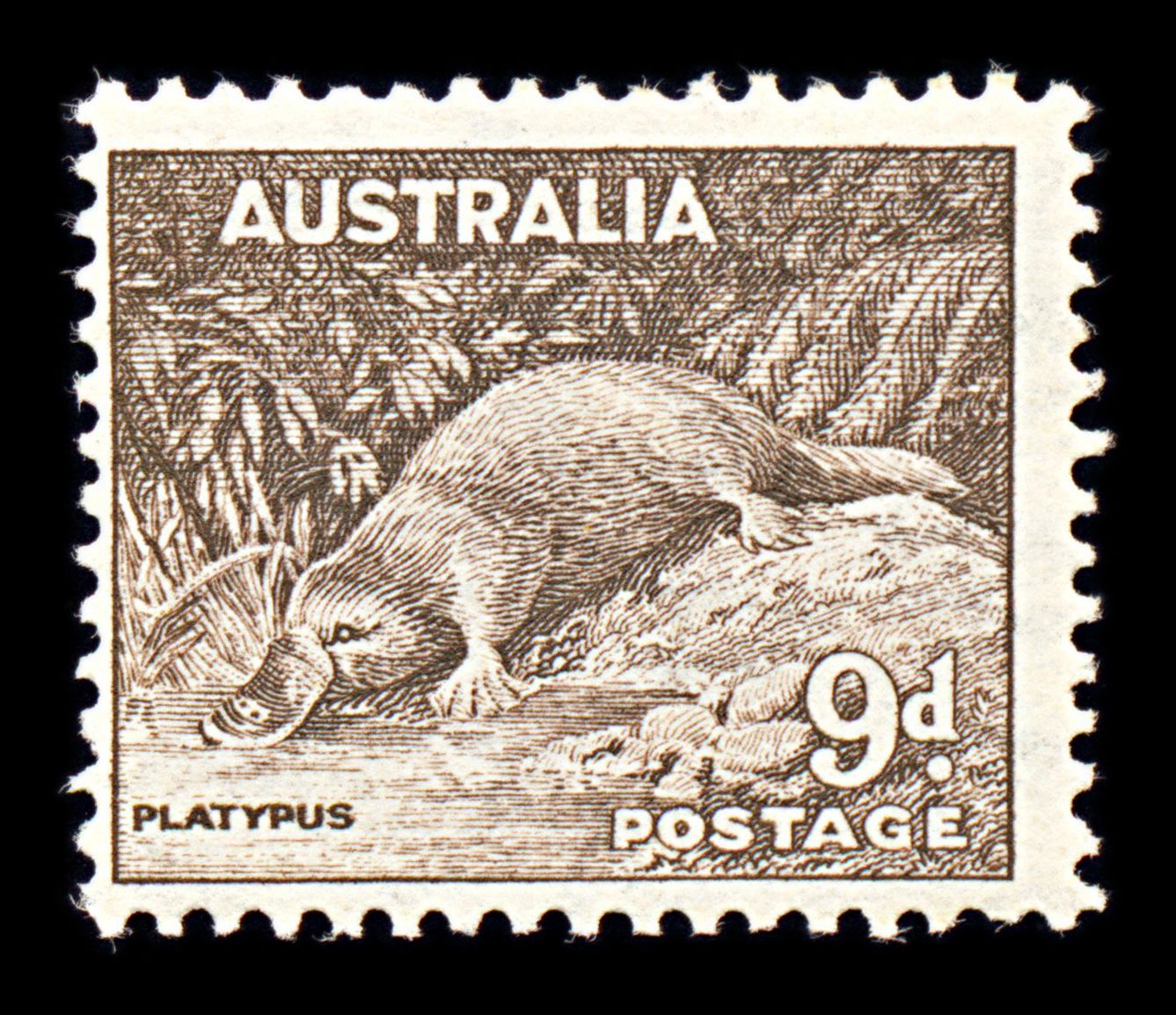 6746 Australia SG230c 9D Sepia 1956. Sc#298 Mi 270 Mint MVLH. C£18