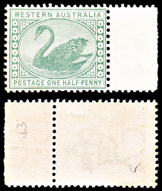 6952 Western Australia SG94a ½D Green 1885. Sc#58 Mi 30 Mint MNH. C£9