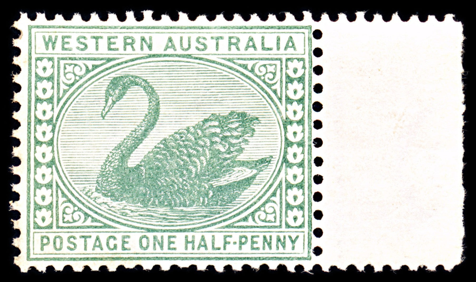 6952 Western Australia SG94a ½D Green 1885. Sc#58 Mi 30 Mint MNH. C£9