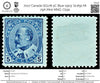 7017 Canada SG178 5C Blue 1903. Sc#91 Mi 79A Mint MNG. C£90