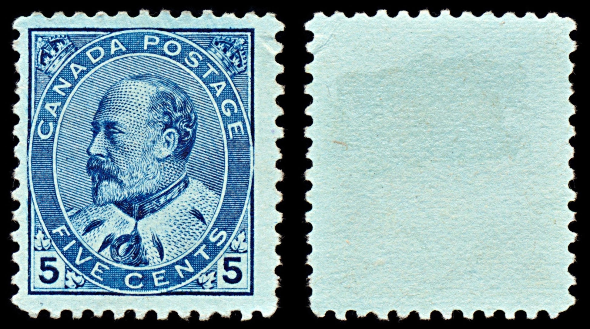 7017 Canada SG178 5C Blue 1903. Sc#91 Mi 79A Mint MNG. C£90