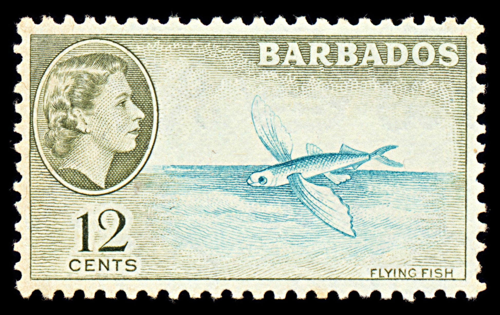 7062 Barbados SG296b 12C Olive & Turquoise 1959. Mint MNH. C£19