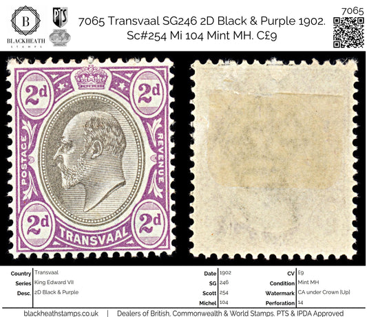 7065 Transvaal SG246 2D Black & Purple 1902. Sc#254 Mi 104 Mint MH. C£9