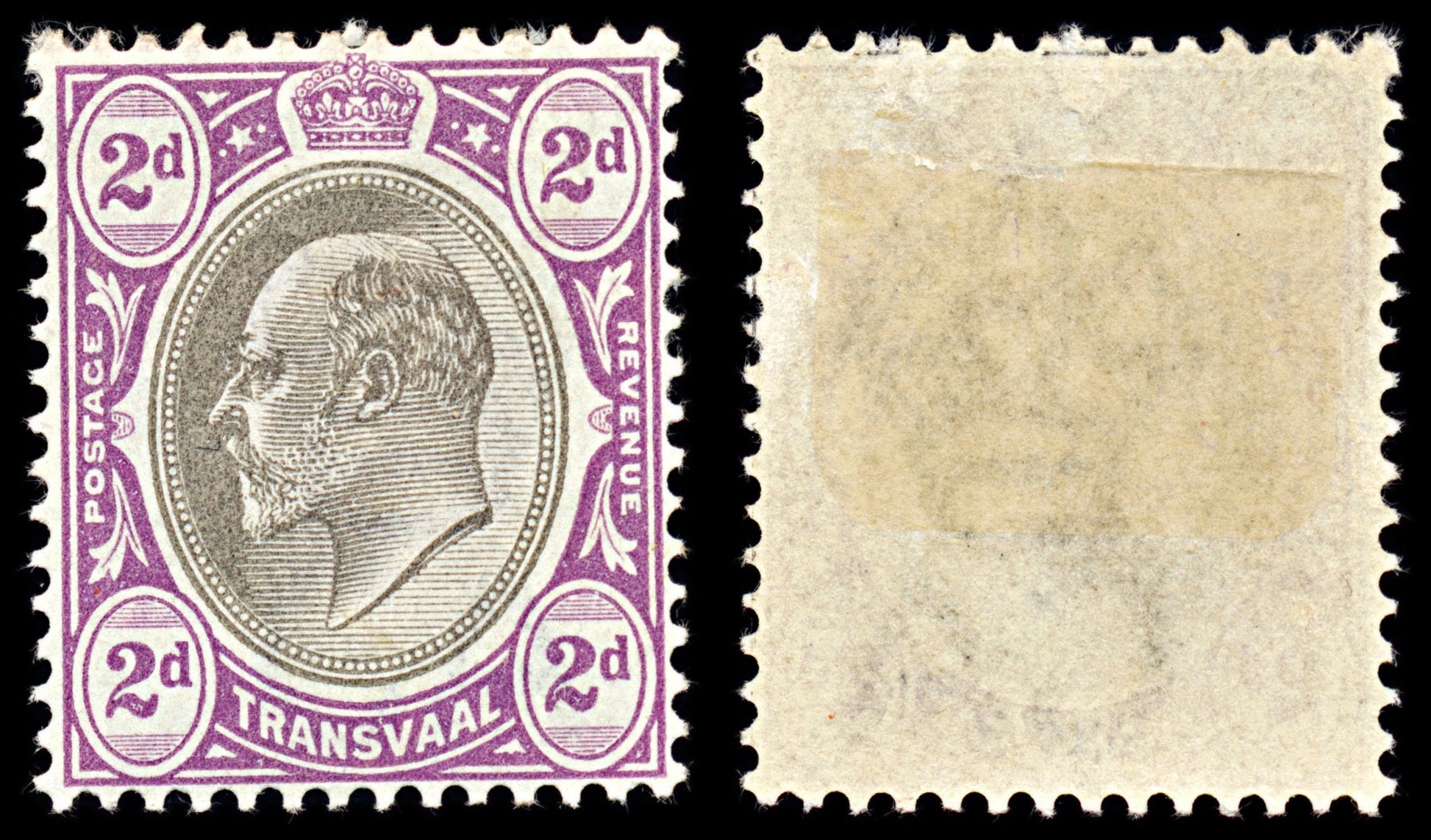 7065 Transvaal SG246 2D Black & Purple 1902. Sc#254 Mi 104 Mint MH. C£9