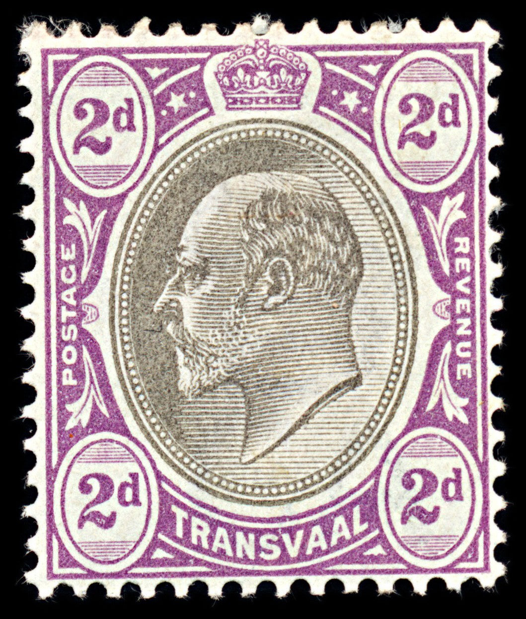 7065 Transvaal SG246 2D Black & Purple 1902. Sc#254 Mi 104 Mint MH. C£9