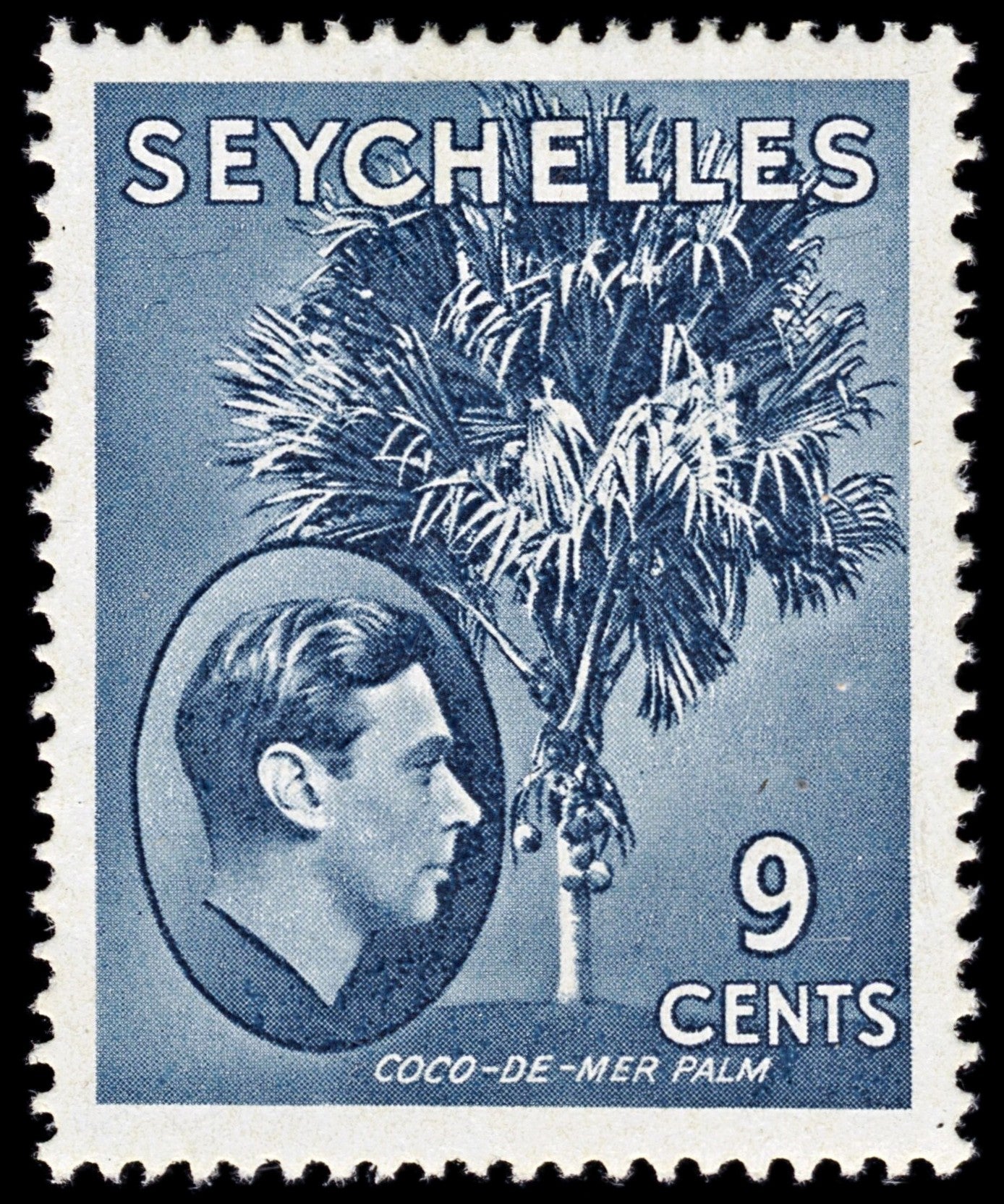 4410 Seychelles SG138ab 9c Grey-Blue. Ordinary Paper. 1942. Sc#131b MM Mint. C£25