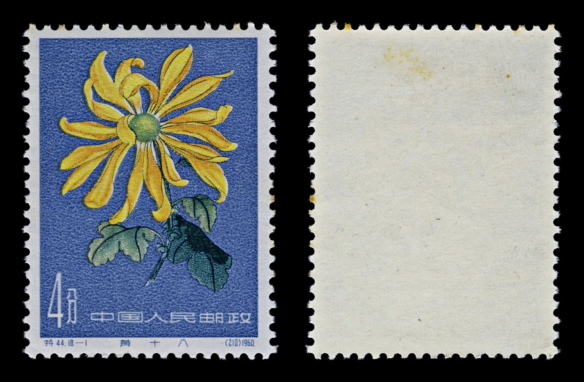 4434 China, People's Republic SG1947 4f Hwa ng Sh ih Pa Chrysanthemum. 1961. Sc#542 Mi583 MNH Mint. C£50